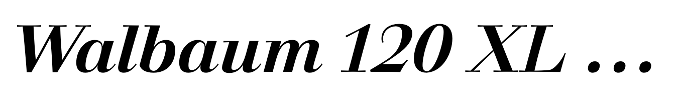 Walbaum 120 XL Medium Pro Bold Italic